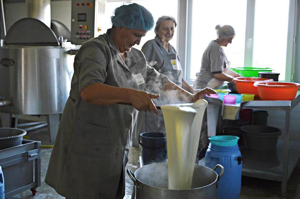 Ecomigrant Women in Disveli Start Cheese Production geotv.ge